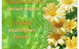 Почему любить полезно для здоровья и счастья