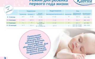 Режим дня ребенка в 9 месяцев – таблица по часам и советы родителям