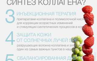 Как можно стимулировать синтез эластина и коллагена для здоровья кожи