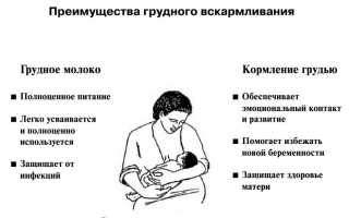 Плюсы грудного вскармливания для здоровья мамы и малыша