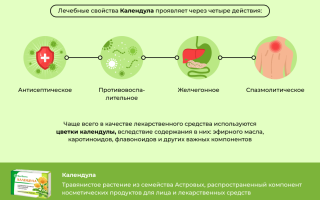 Лечебные свойства календулы в народной медицине