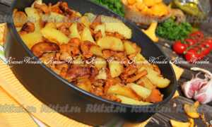 Вкусные и полезные блюда из лисичек для всей семьи