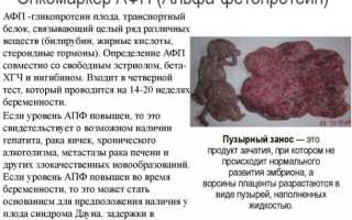 21 причина изменения уровня альфа-фетопротеина в крови