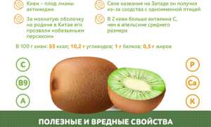 Почему киви очень полезны для здоровья?