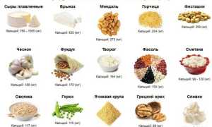 Источники кальция растительного происхождения и не только для здоровья