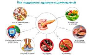 Продукты, которые защитят вашу поджелудочную от заболеваний