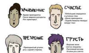 Как распознать ложь: семь ошибок лжеца и их последствия