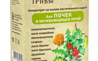 Полезные травы для почек и их применение