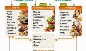 7 сочетаний продуктов, которые принесут вред здоровью и самочувствию