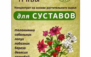 Травы, которые помогут облегчить суставную боль и улучшить здоровье