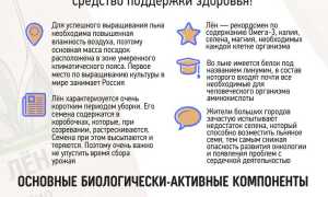 Семена льна: в чем польза для здоровья человека