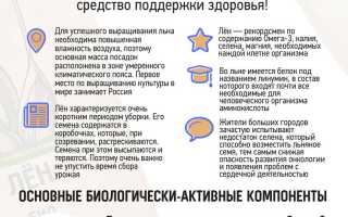 Семена льна: в чем польза для здоровья человека