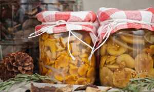 Как приготовить грибы на зиму правильно и вкусно