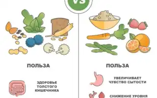 В каких продуктах больше всего клетчатки для здоровья