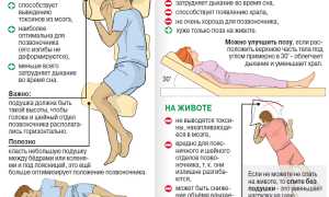 Что делать, если надо не спать, чтобы сохранить здоровье
