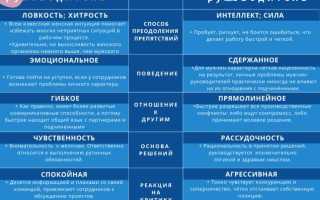 Женщина в мужском коллективе: плюсы, минусы и особенности