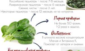 Как приготовить шпинат для ребенка вкусно и полезно?