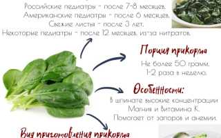 Как приготовить шпинат для ребенка вкусно и полезно?