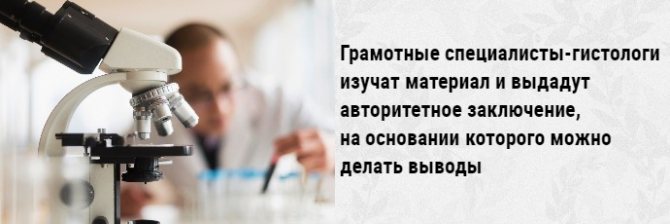 гистология