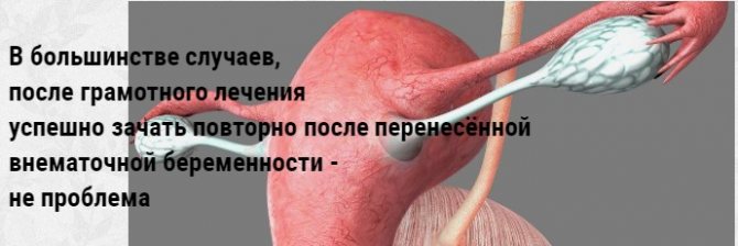 зачатие