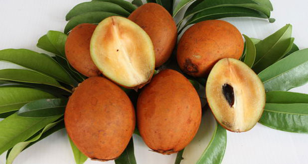 экзотические плоды экзотические плоды