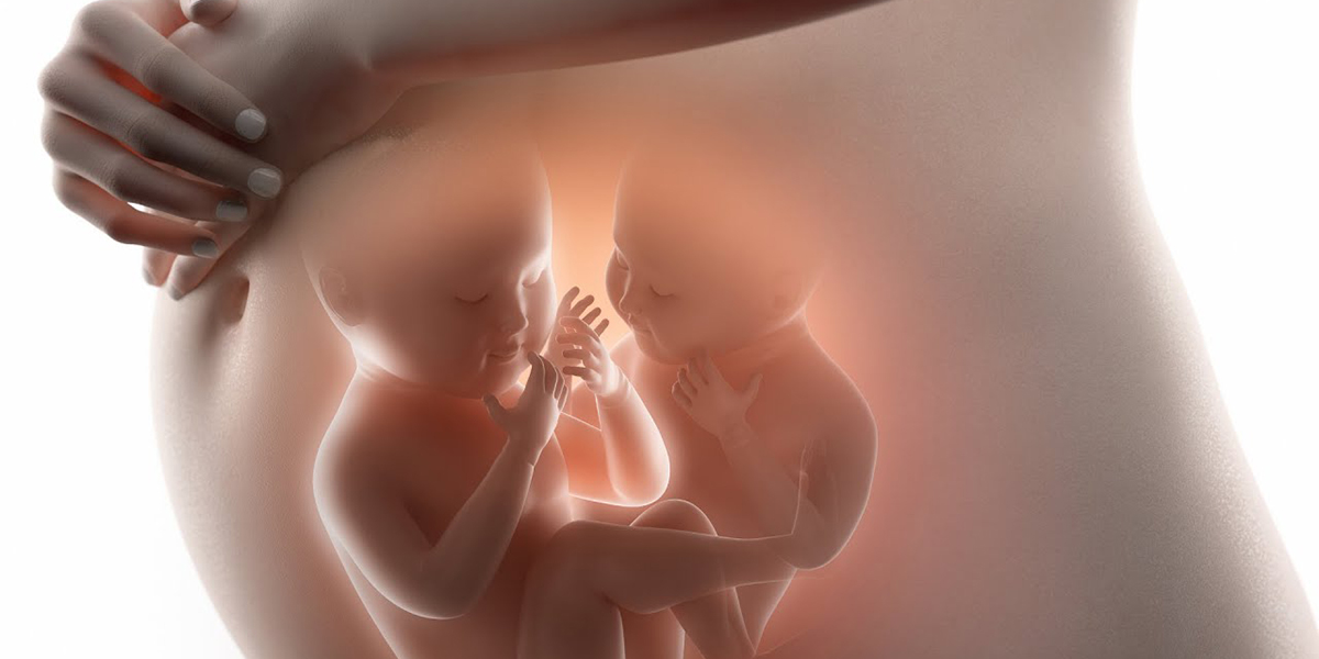 Признаки многоплодной беременности Признаки многоплодной беременности