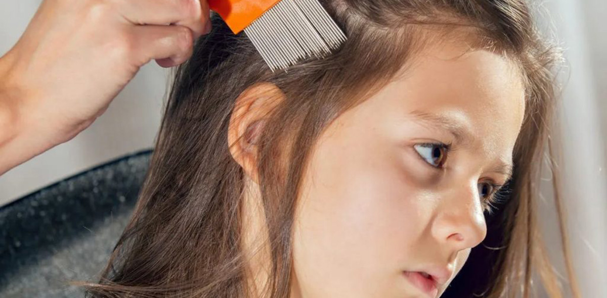 Что такое педикулез, как заражаются педикулезом, как лечить педикулез, спрей Паранит Что такое педикулез, как заражаются педикулезом, как лечить педикулез, спрей Паранит