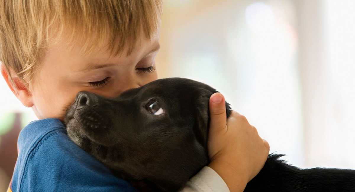собаки лекари собаки лекари