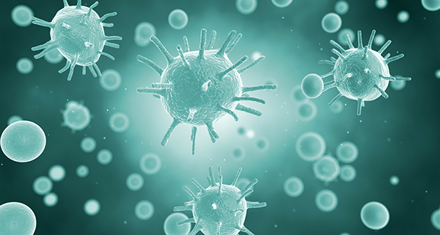 вируса гриппа вируса гриппа