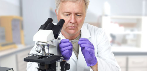 Как определить отцовство? Микроскоп Как определить отцовство? Микроскоп