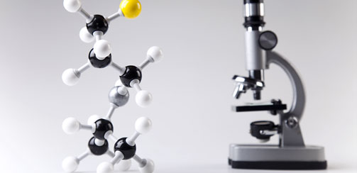 Как определить отцовство? Гены Как определить отцовство? Гены