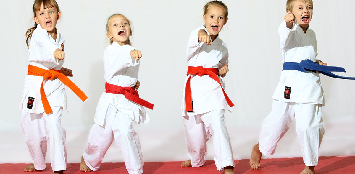 Виды восточных единоборств, равновесие Виды восточных единоборств, равновесие