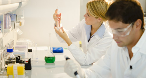 Стволовые клетки человека Стволовые клетки человека