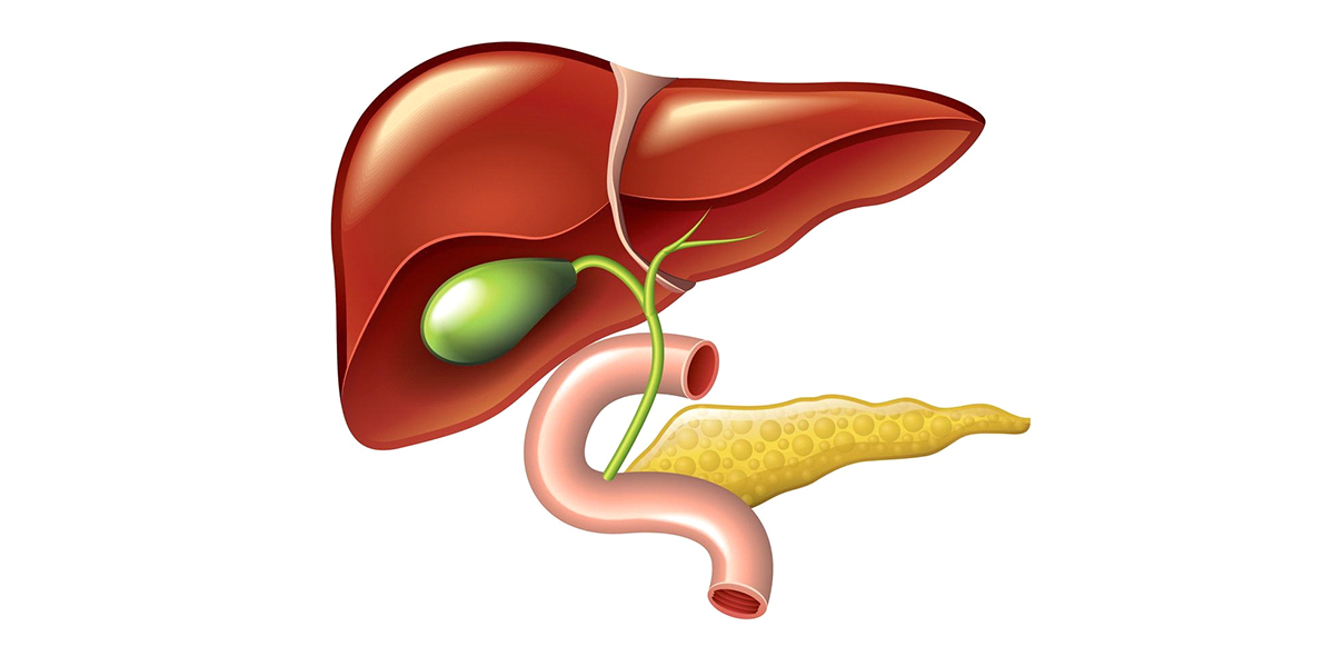 желчнокаменная болезнь желчнокаменная болезнь