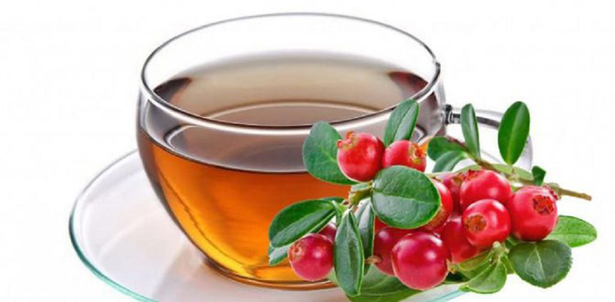 лечебные свойства толокнянки лечебные свойства толокнянки