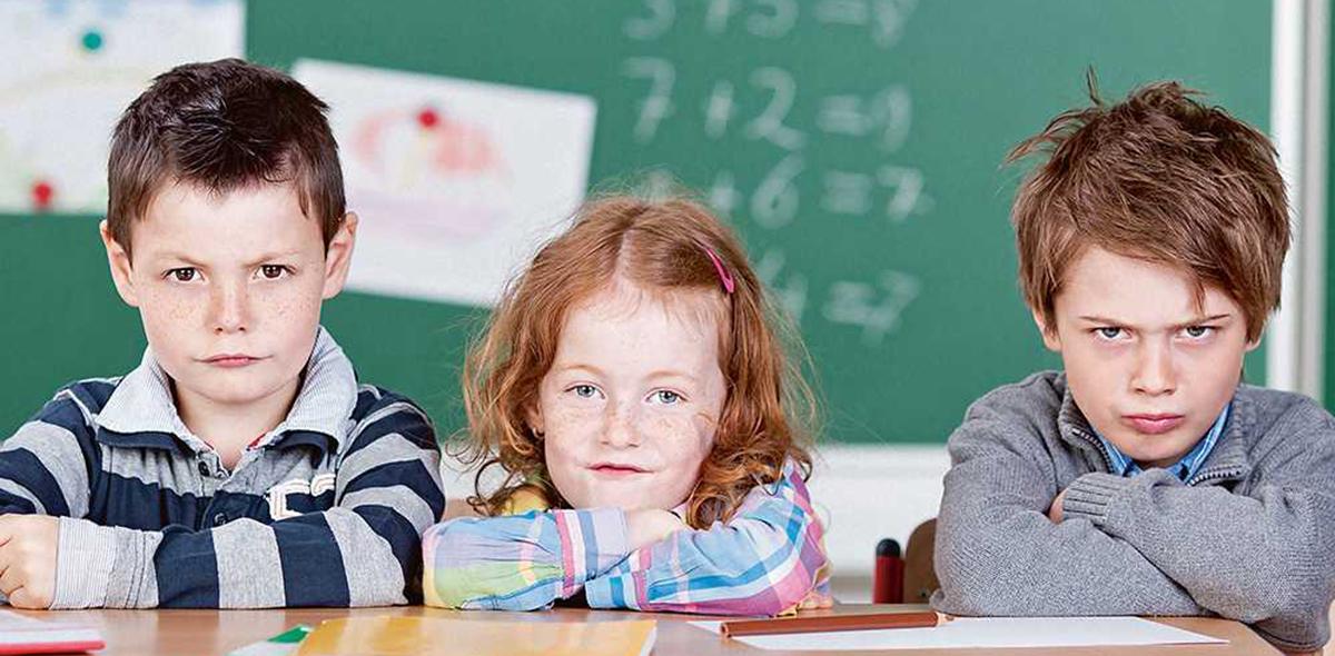 Частные и государственные школы на уроке Частные и государственные школы на уроке