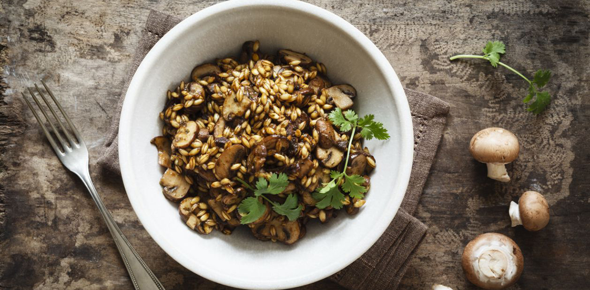 гармония человека и природы гармония человека и природы